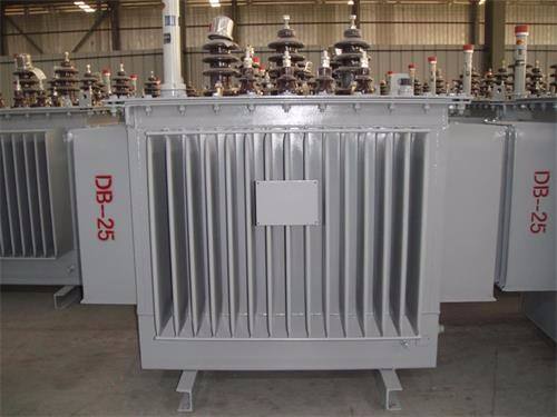 安阳S13-100KVA/10KV/0.4KV油浸式变压器